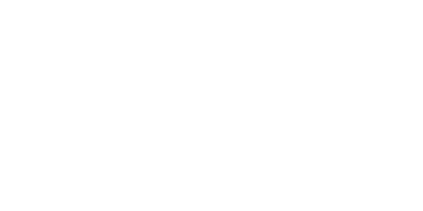 Alpina_logo_white_600x300_tiny