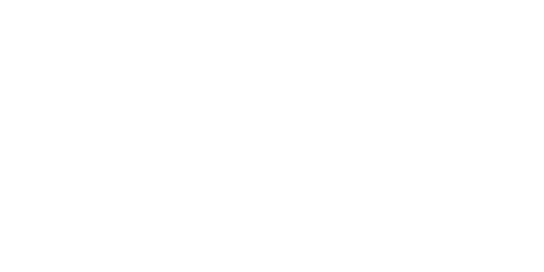 Logo_Northwave_white_600x300_tiny