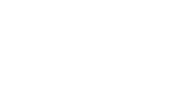 Logo_niner_white_600x300_tiny